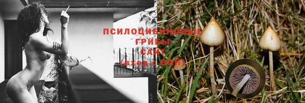 прущая мука Медвежьегорск