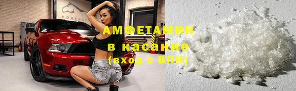 сатива Медногорск