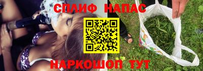 стаф Донской