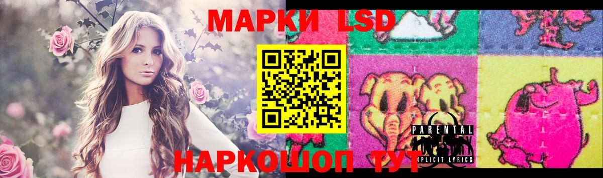 LSD-25 экстази ecstasy Новозыбков