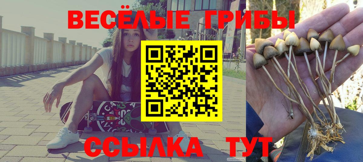Галлюциногенные грибы мицелий Новозыбков