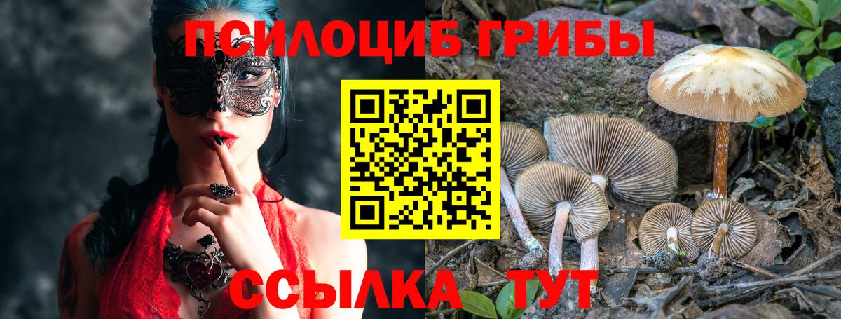 Псилоцибиновые грибы Psilocybe  Псилоцибиновые грибы Magic Shrooms  Новозыбков  Вход с VPN 