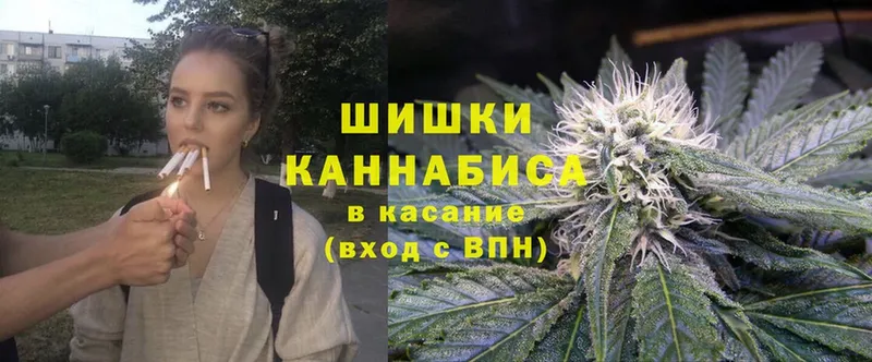 МАРИХУАНА SATIVA & INDICA  Новозыбков 