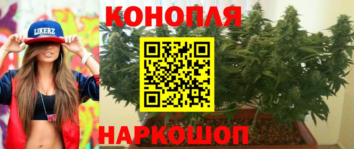 Галлюциногенные грибы Новозыбков